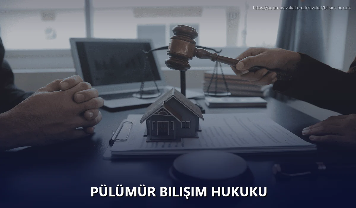 Pülümür Bilişim Hukuku