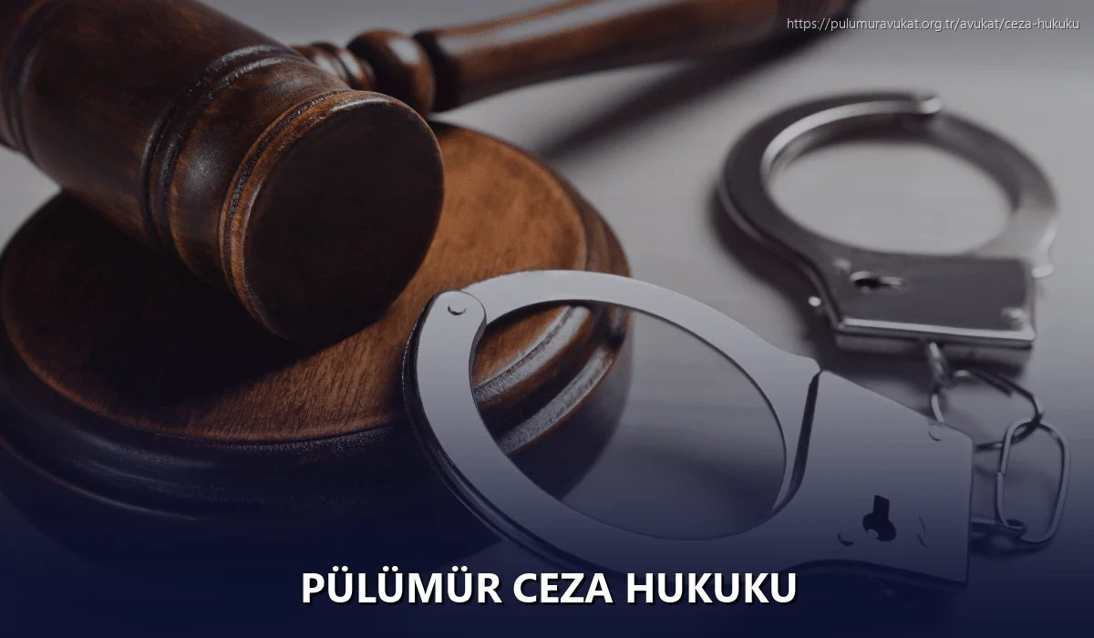 Pülümür Ceza Hukuku