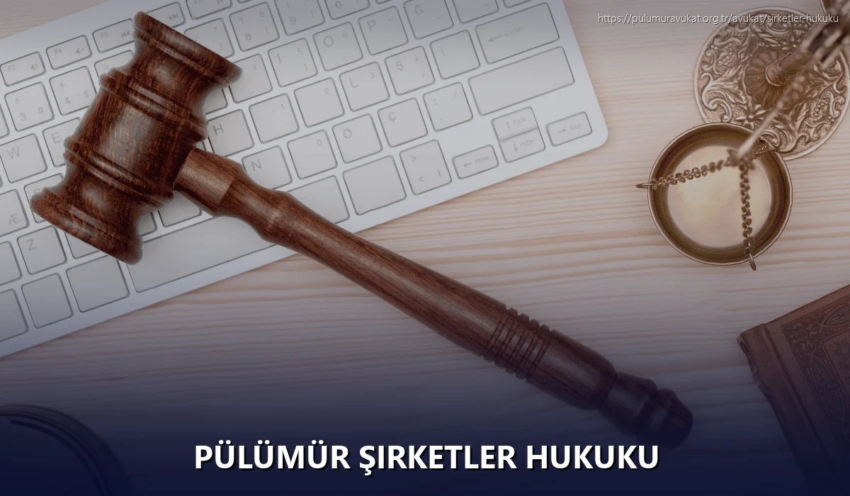 Pülümür Şirketler Hukuku